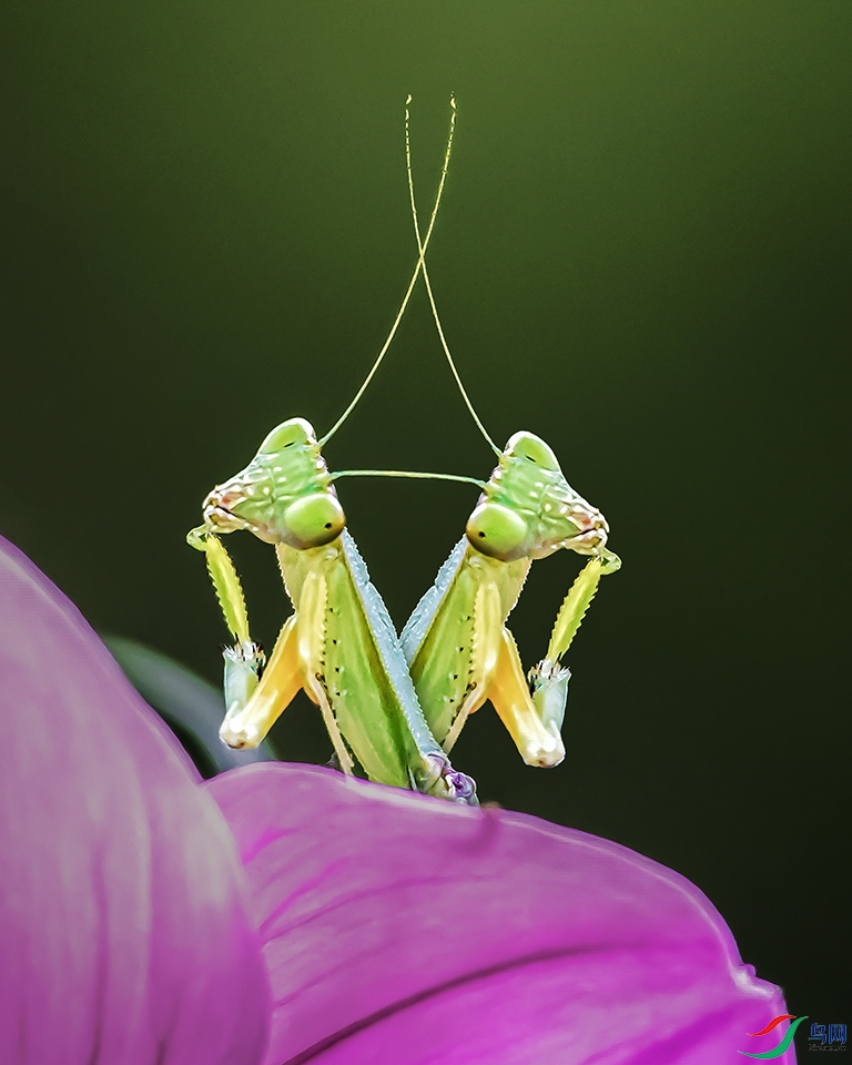 ���ڴ��⡣