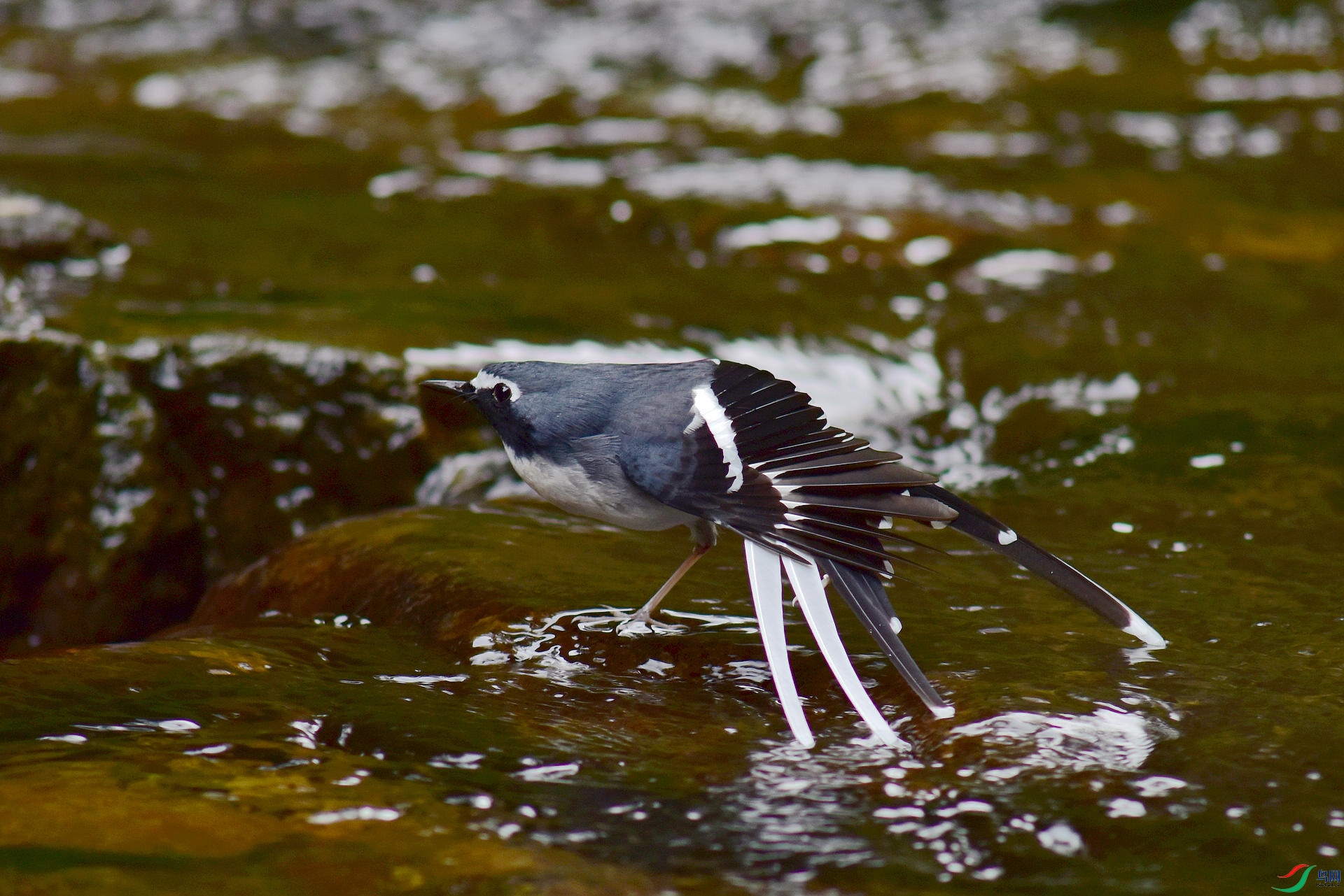 D8I_9355.jpg