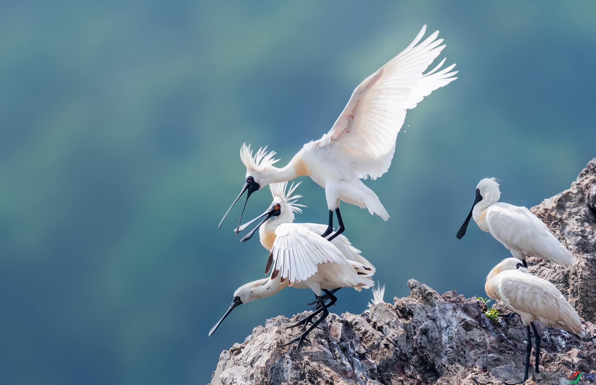 ��������