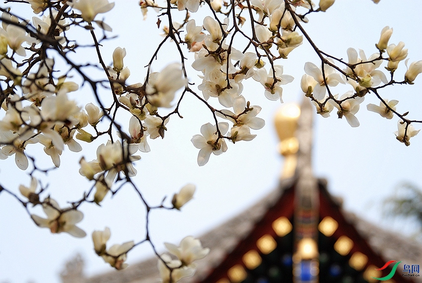 DSC_0371 - ���� - ���� - ����.JPG