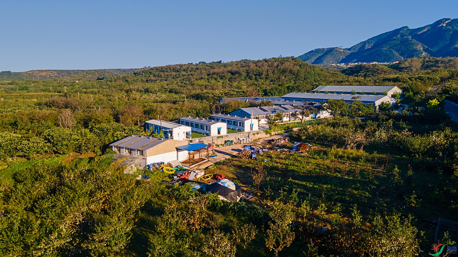 DJI_0167.jpg