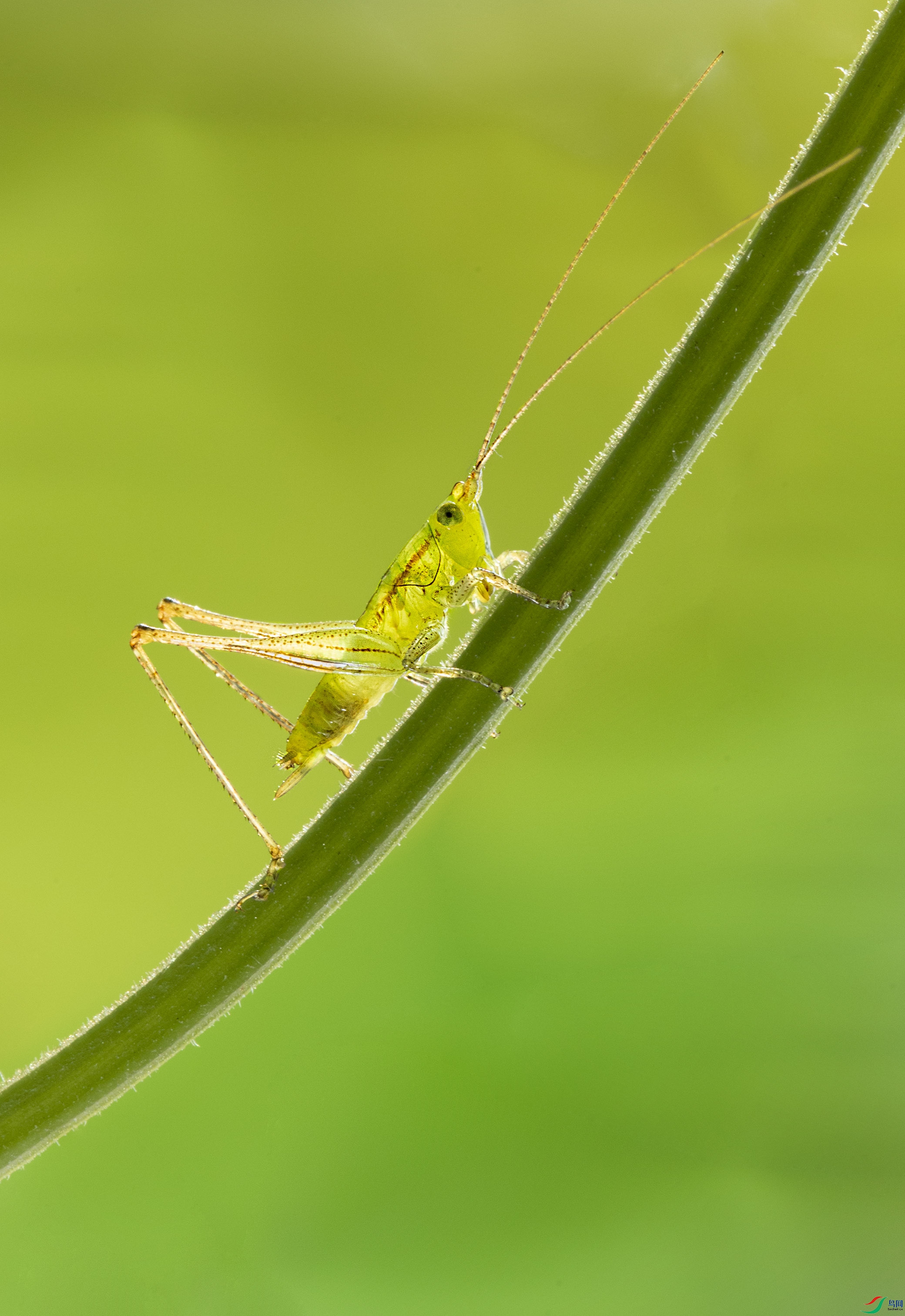 F71A1012-1.jpg