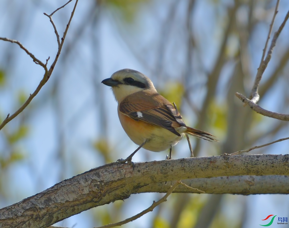 DSC_3922.jpg