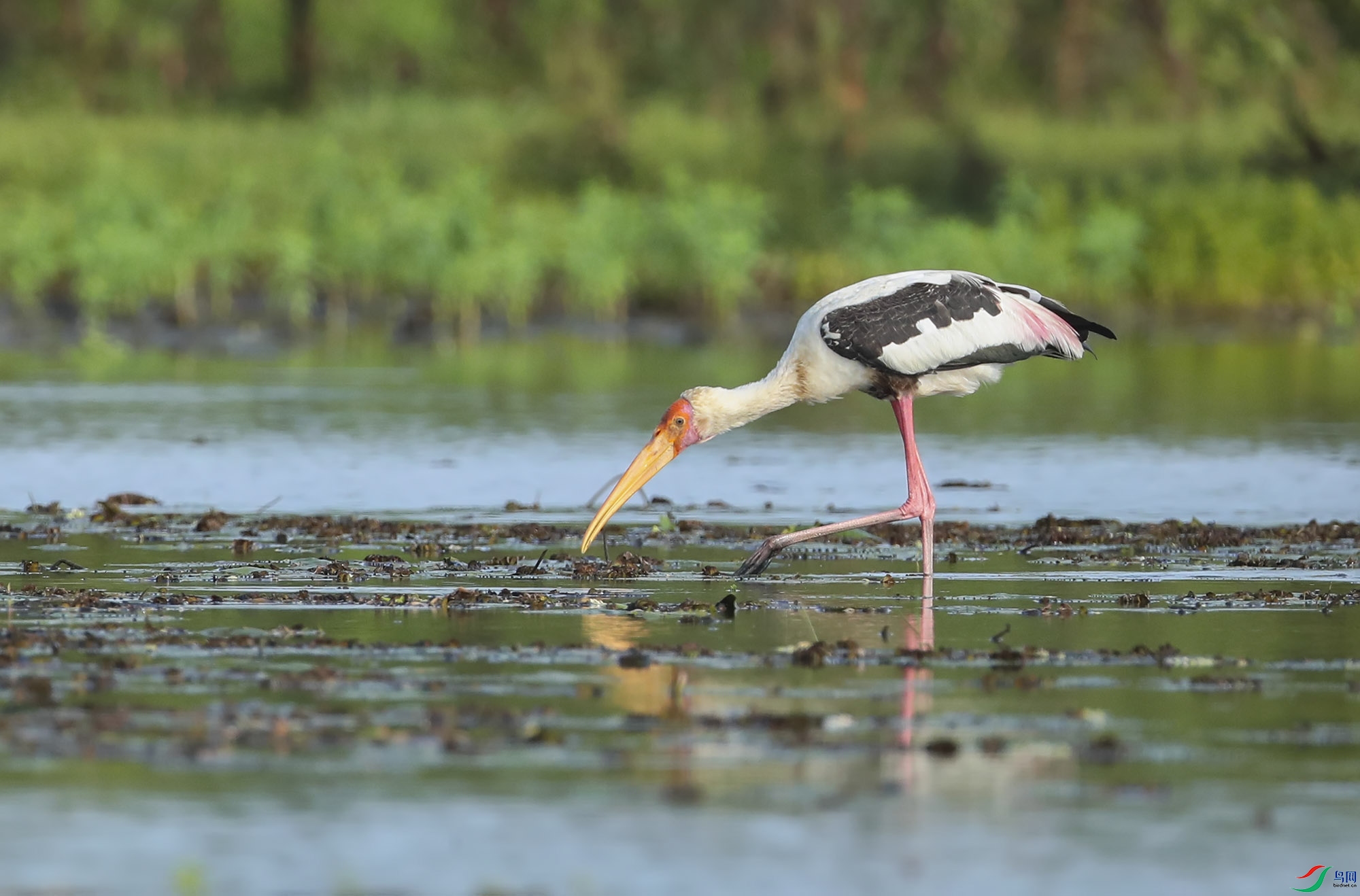 BT1I4293-.' (20).jpg