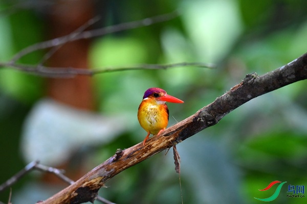 File0000046129.jpg