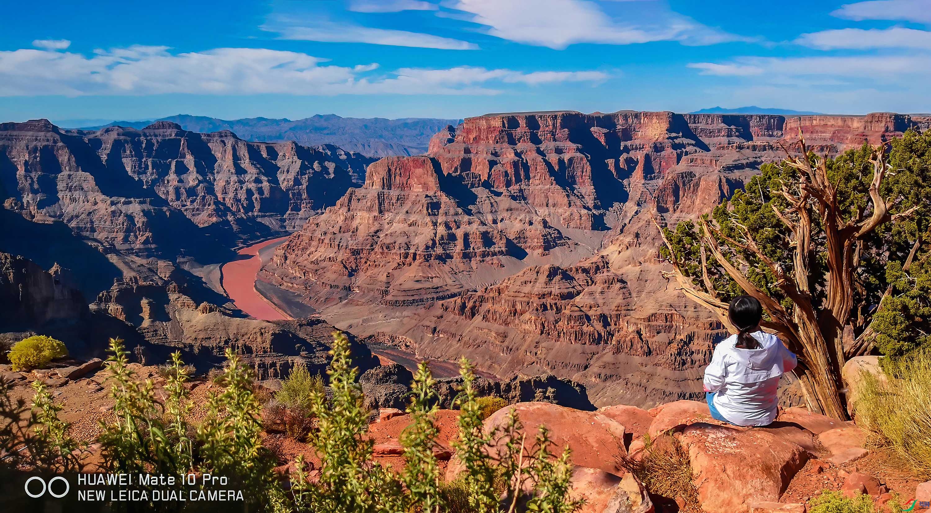 IMG_20181025_135255     ok.jpg