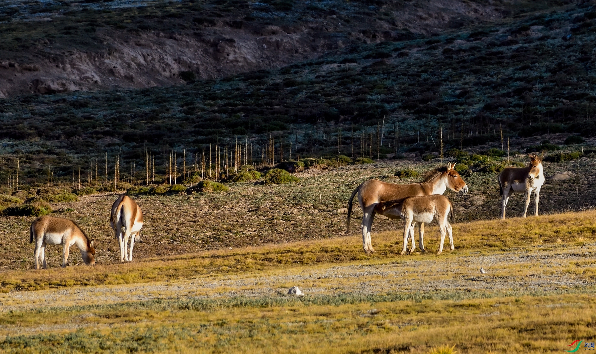 _DSC3340_����.jpg