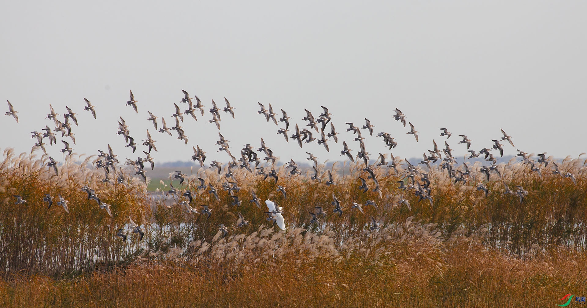IMG_0044-0.jpg