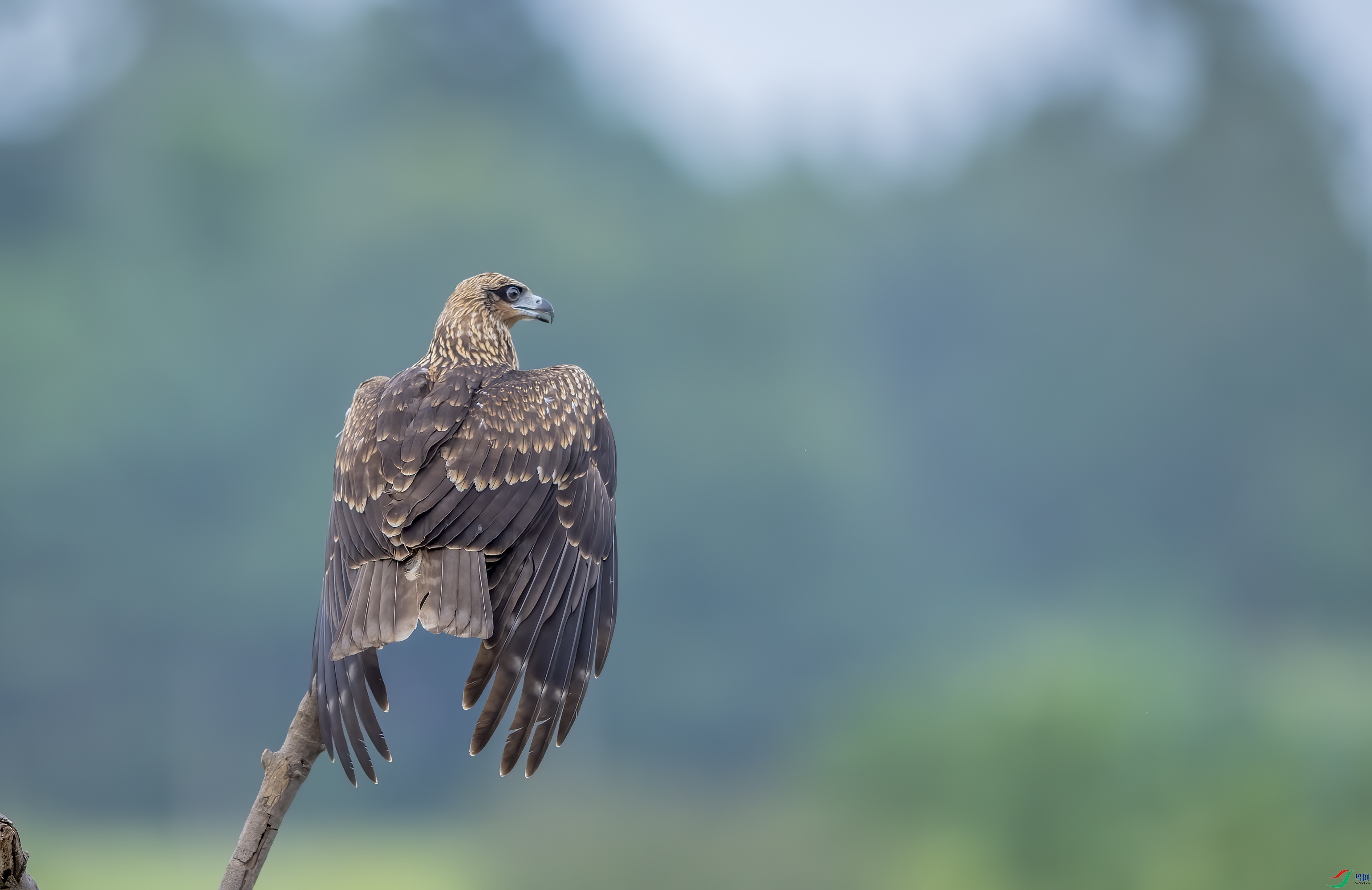 DSC_5192.jpg