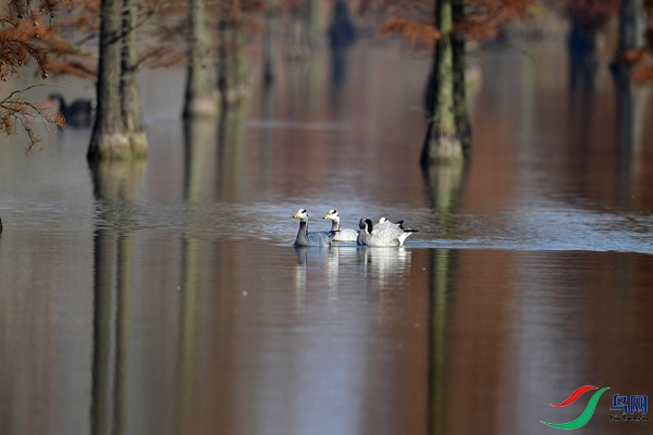 _DSC6711.jpg