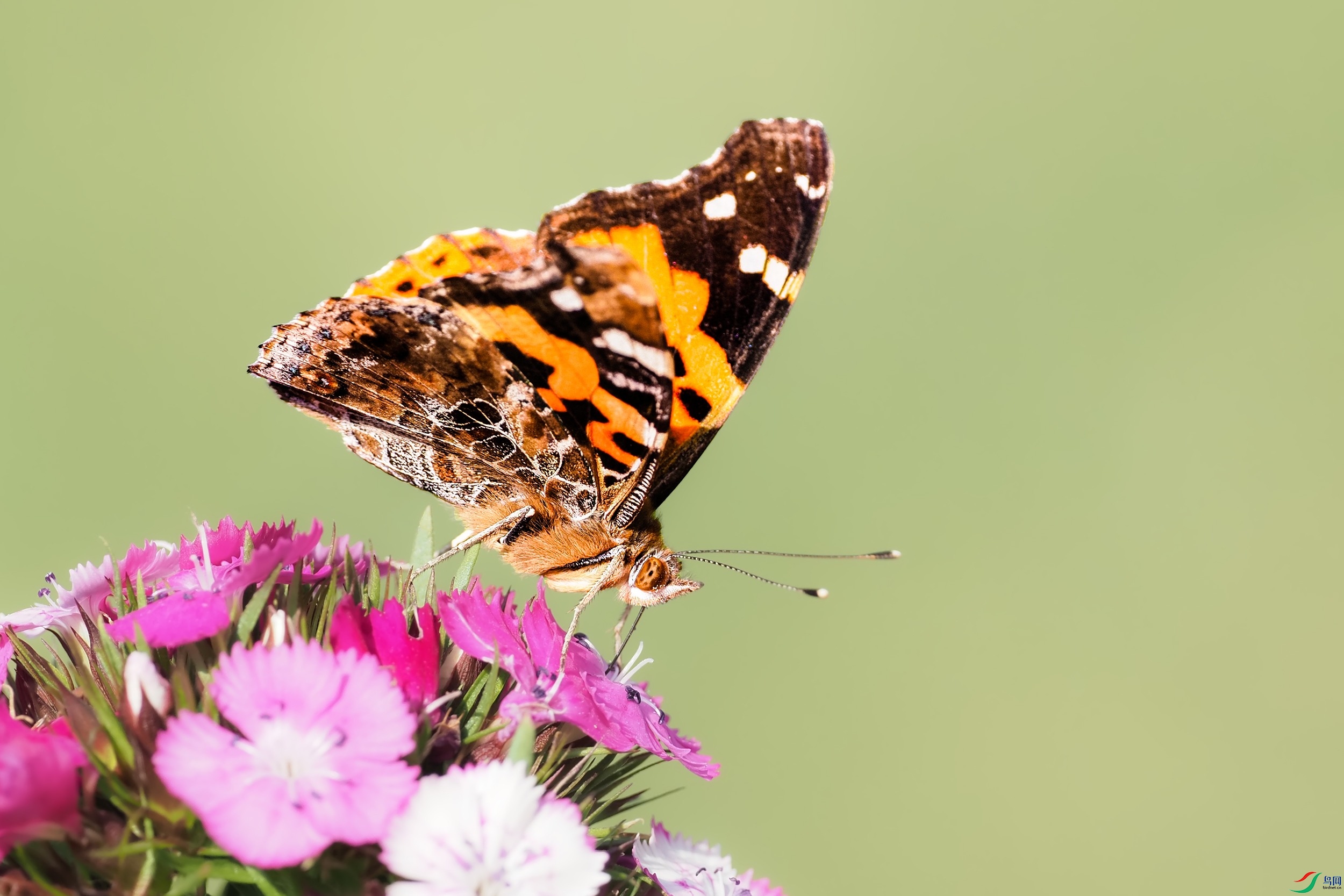 PB121365-1.jpg