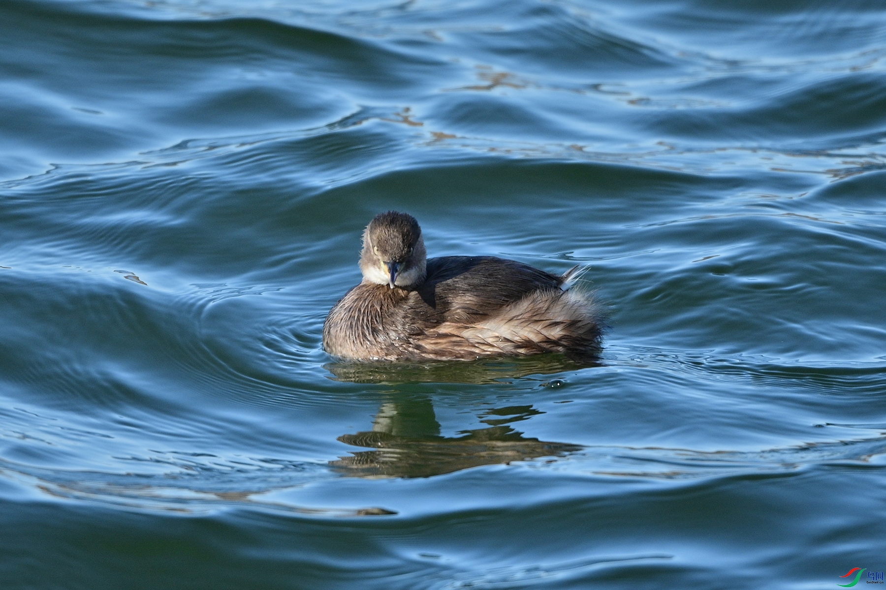 DSC_6512.jpg