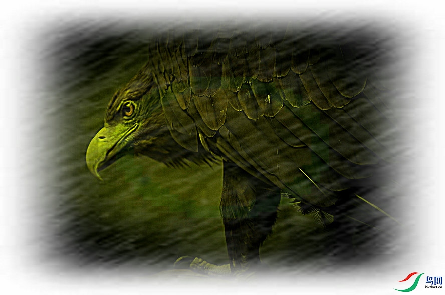 4K0A6115_����_����.jpg