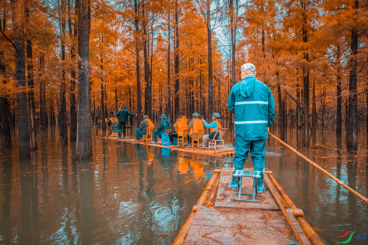 _H6A8993��������ɼʪ�ع�԰��ɼ��A ����1.jpg