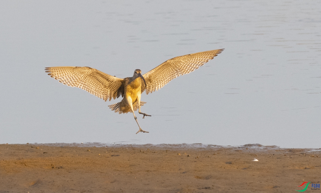 DSC_0751.jpg