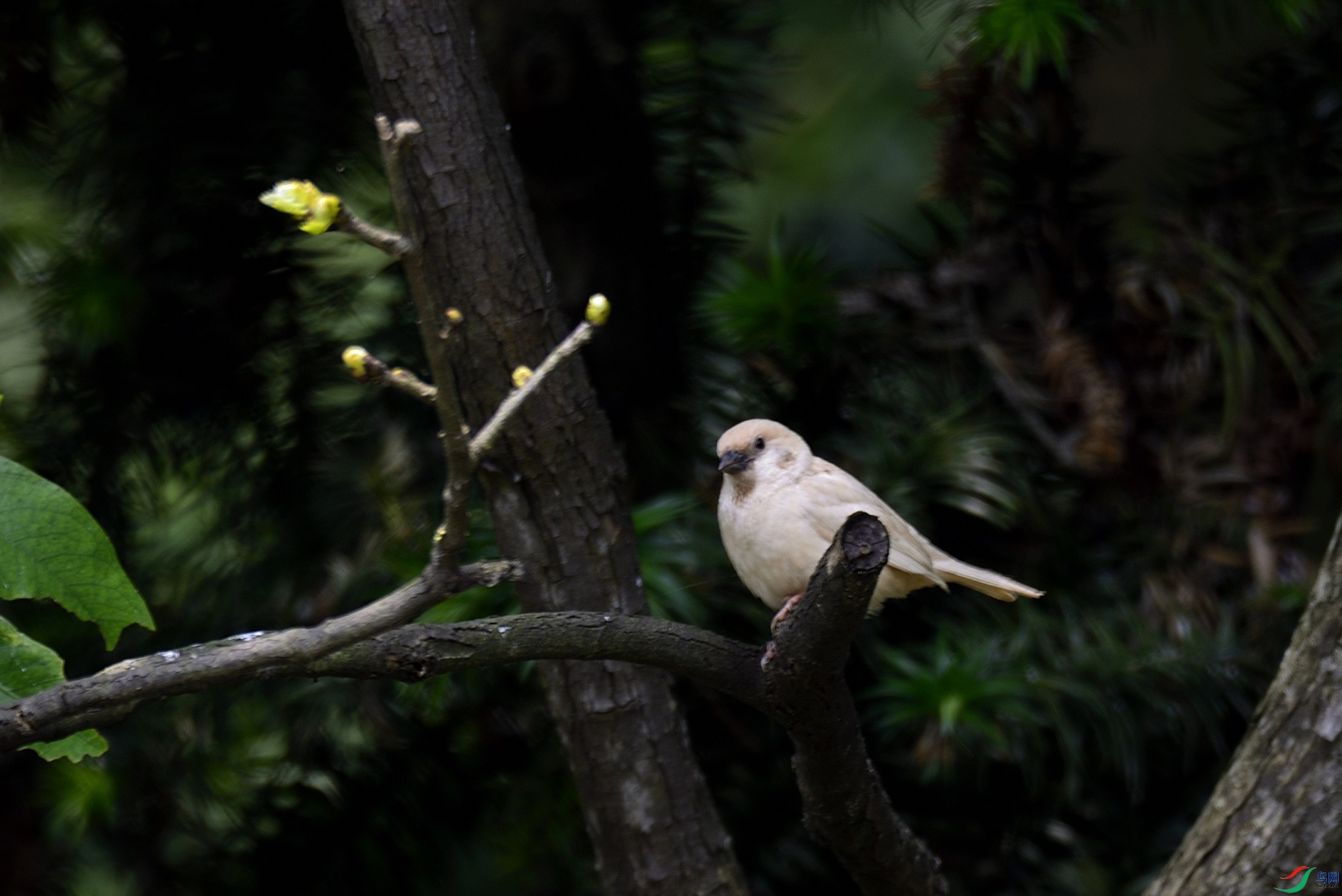 _DSC7838_00001.jpg
