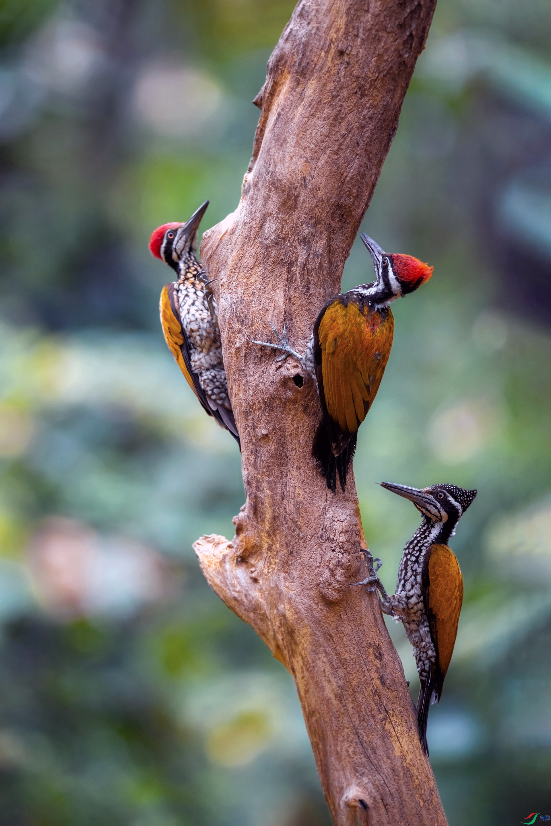 _DSC5925==1w.jpg