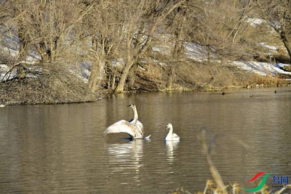 File0000079331.jpg