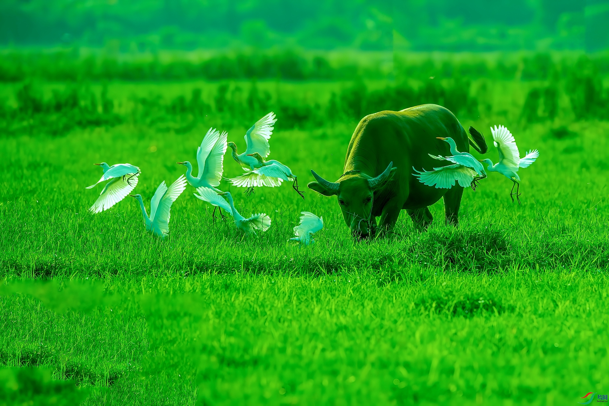 DSC_1231_1-_����.jpg