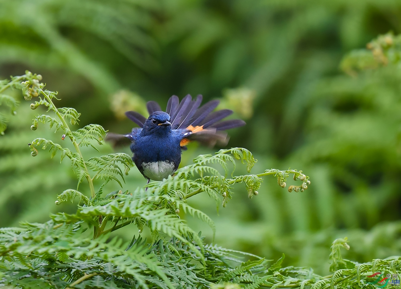 ��������  ��ʦ�����ڹ���ʡ�Ͻڵ������ط�ɽ�����ɹ�����.jpg