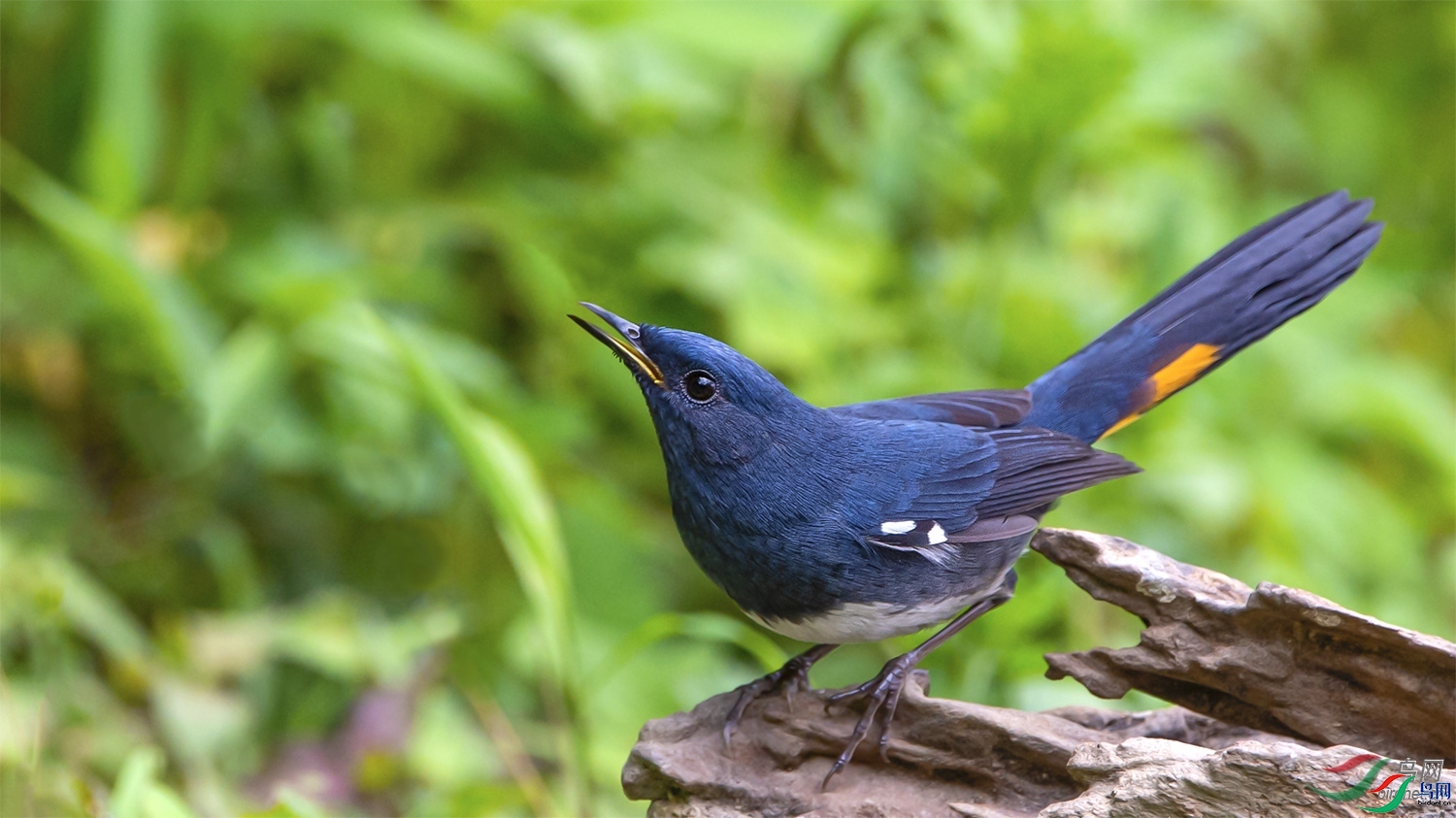 �������  ��ʦ����������ʡ��ɽ��¡����â�����������.jpg