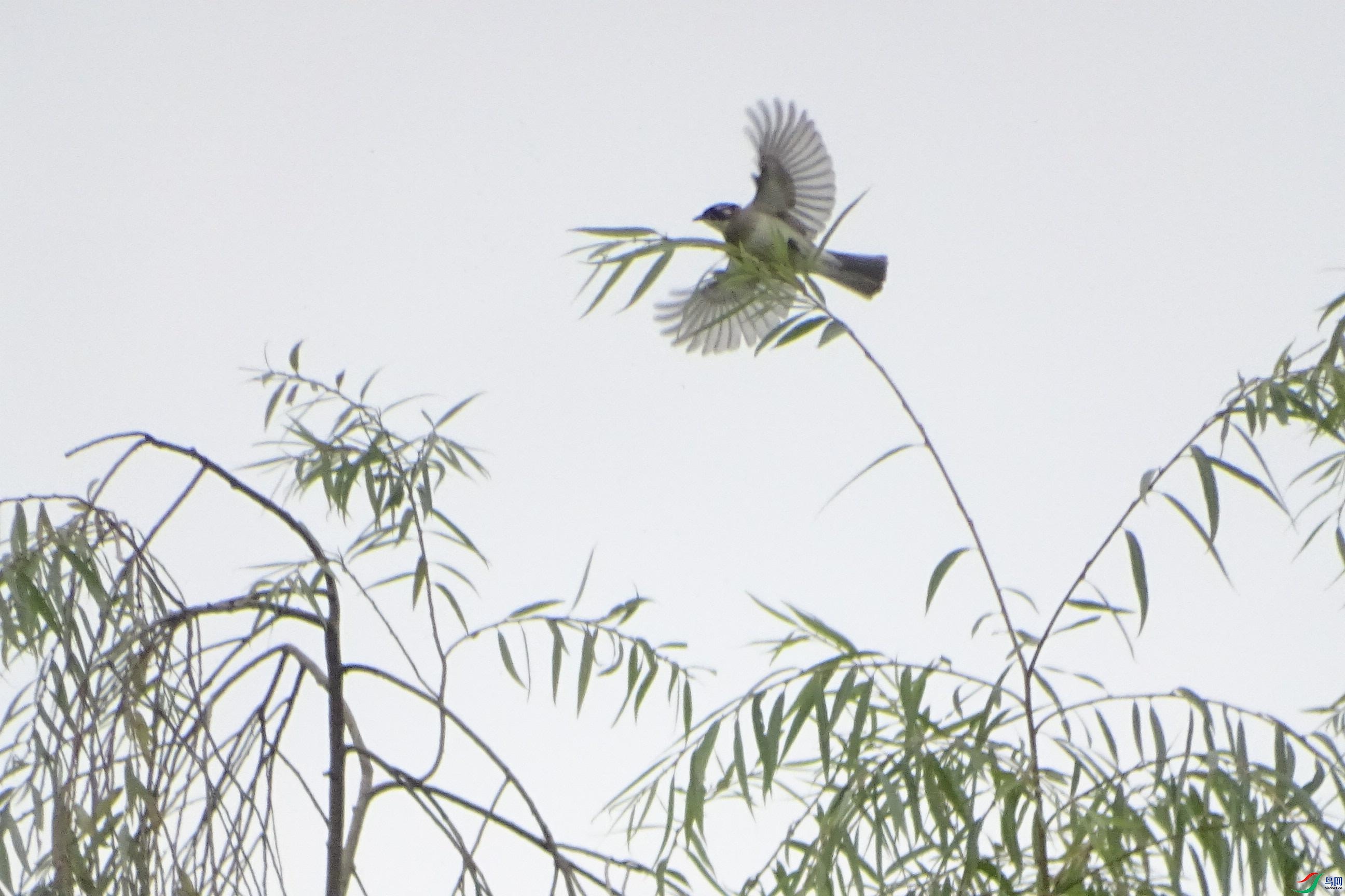 DSC09027_���ٿ�ͼ.jpg