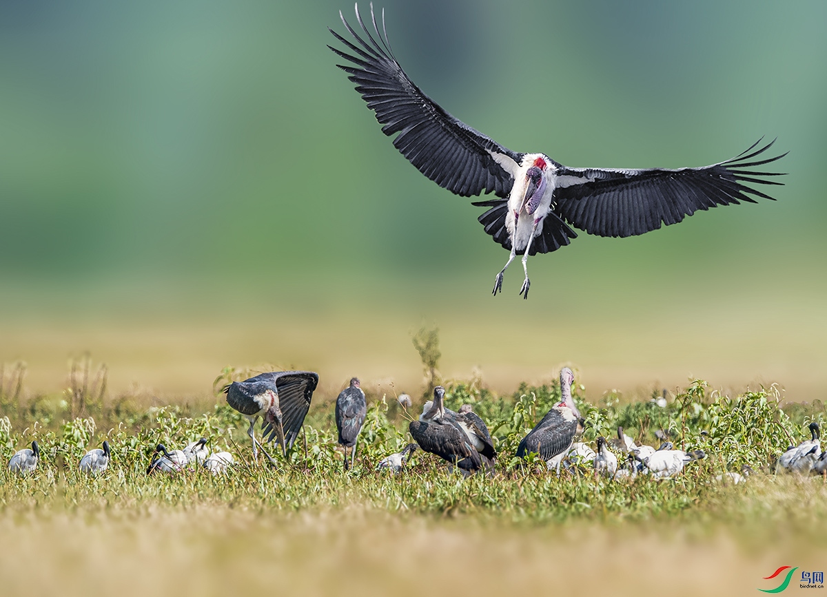 ͺ�ٽ��� -1.jpg