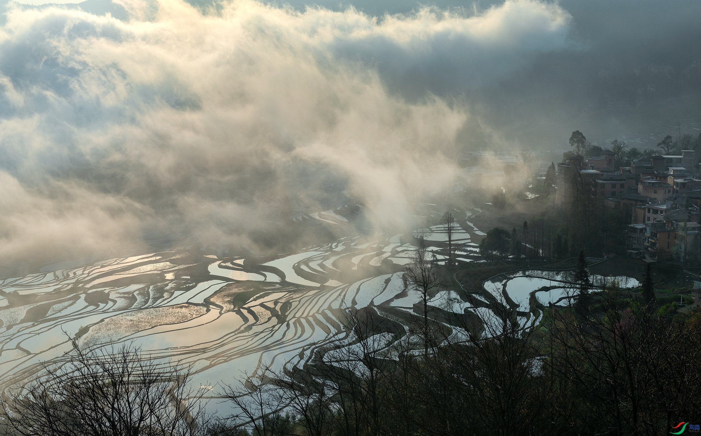 _DSC1242 ����.jpg