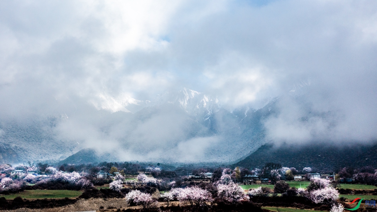 DJI_0388 ����2-����ѩɽ�߿���.jpg