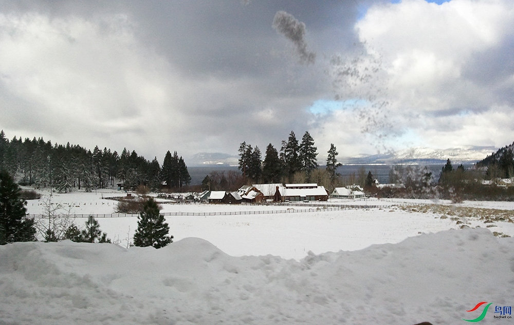 2015-12-25 11.15.14.1.jpg