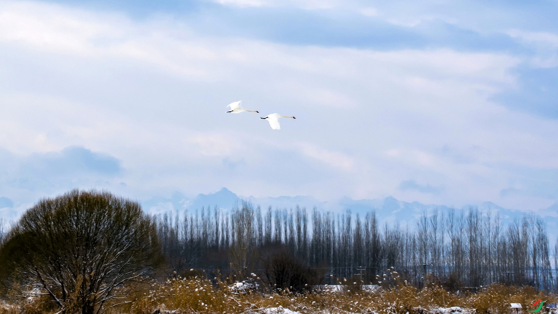 DSC_3217A ����f03.jpg