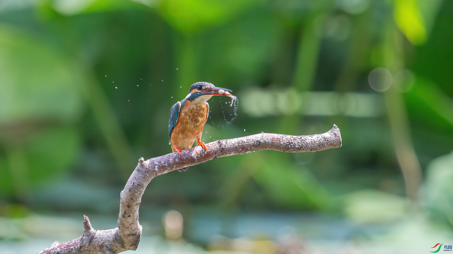 IMG_0372 ����.jpg