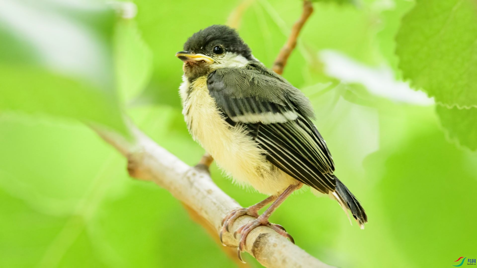 _DSC3557 ����.jpg