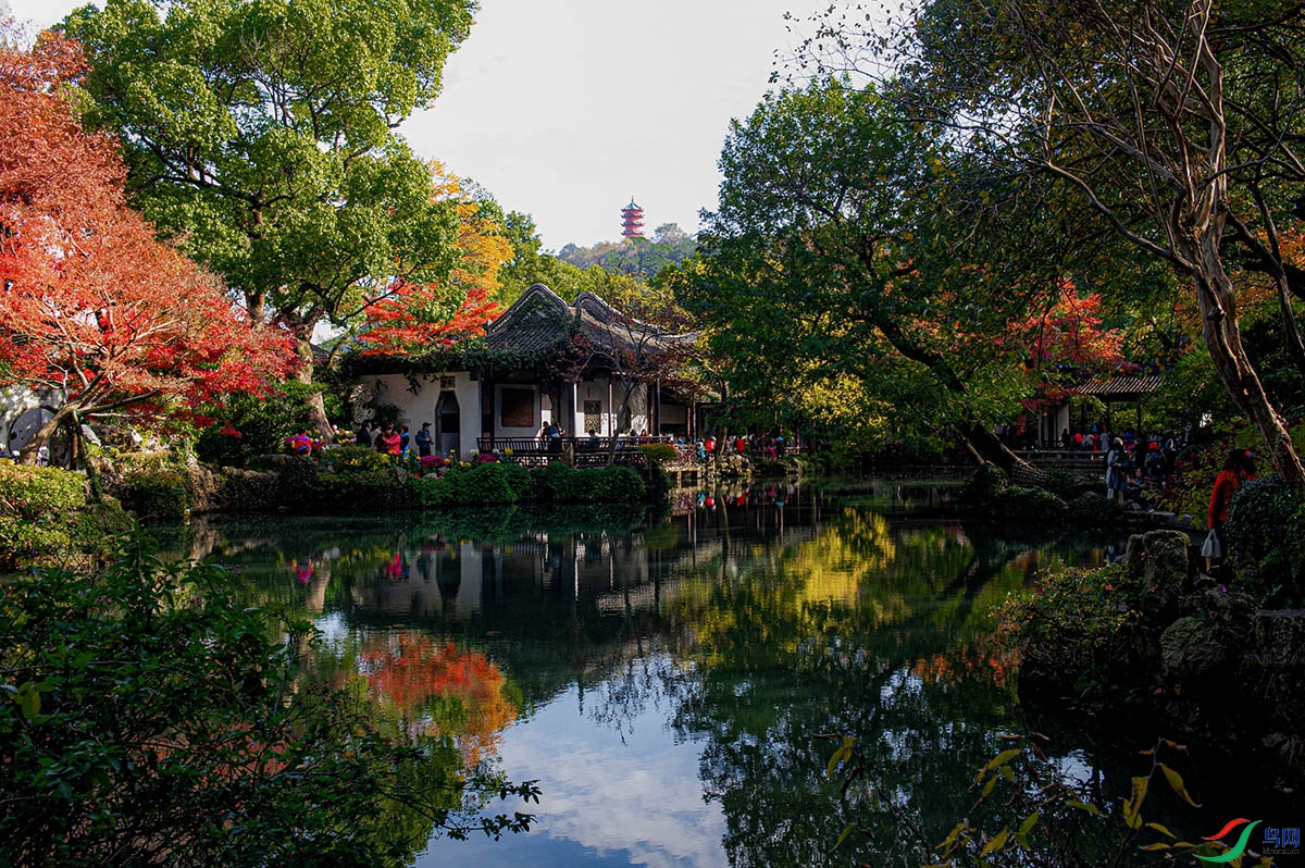 _DSC0115- ���� 2.jpg