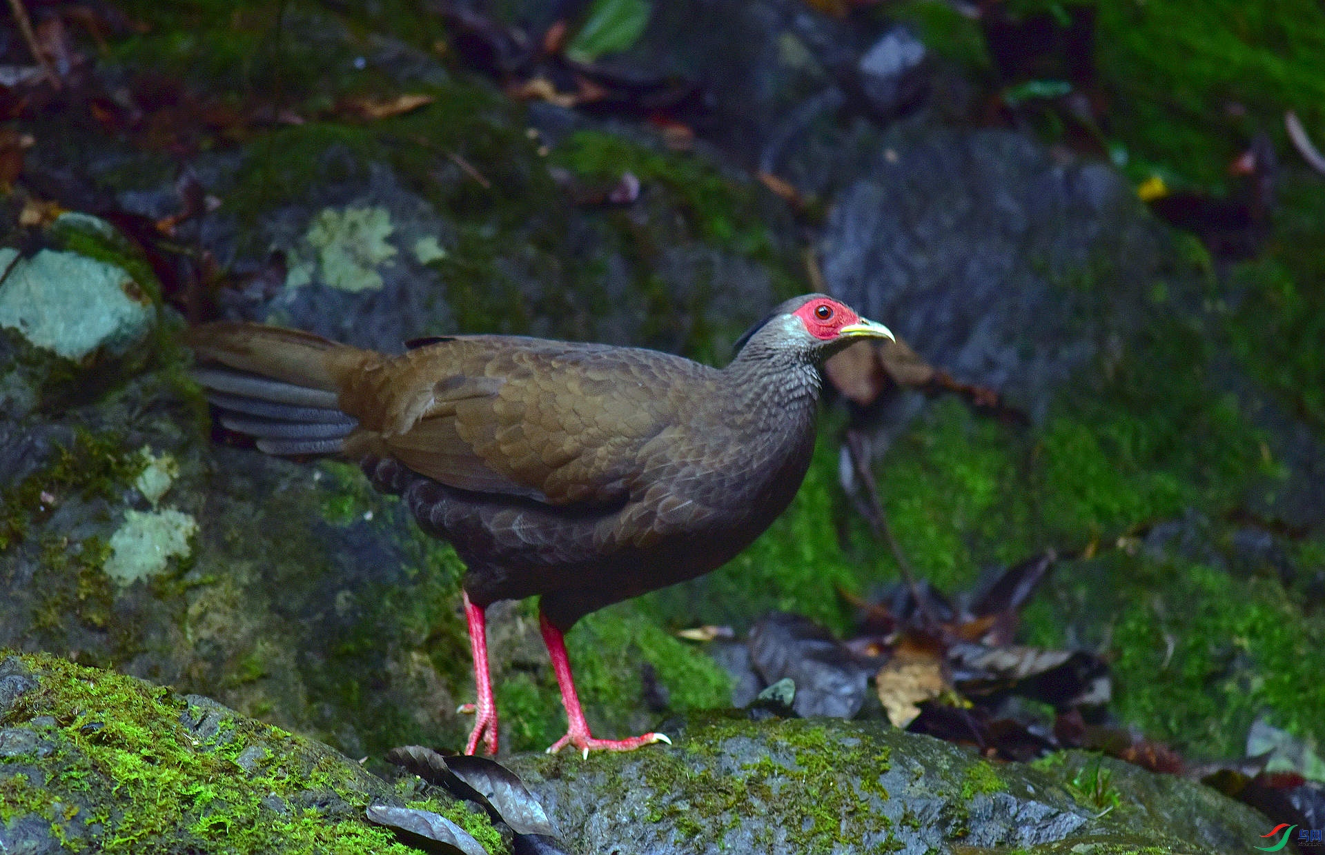 D8I_0015.jpg