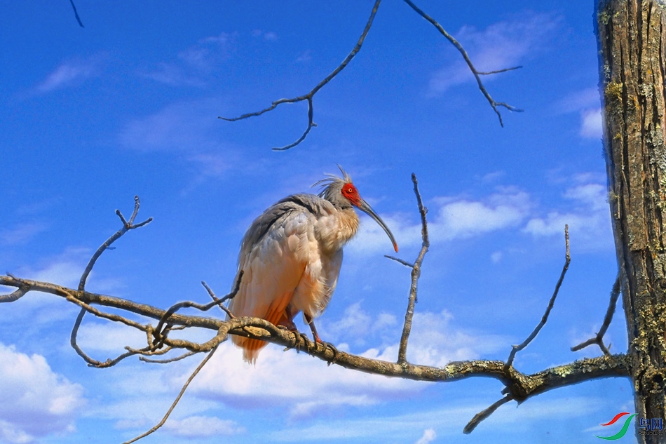 DSC_3913���q��= .jpg