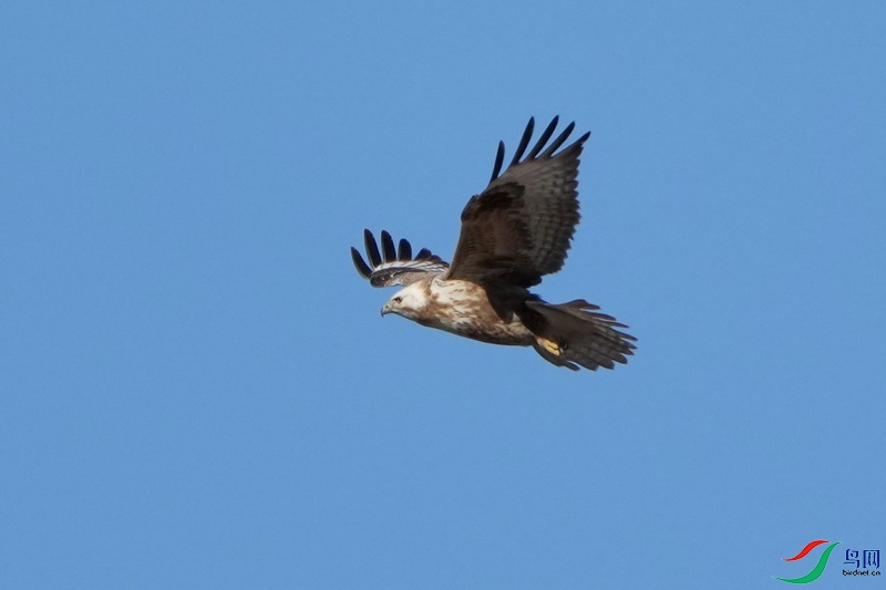 DSC08764'.jpg