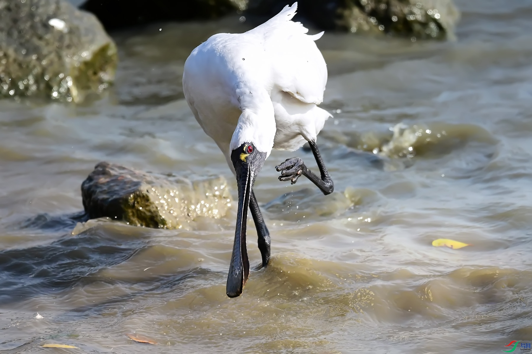 DSC_3492.jpg