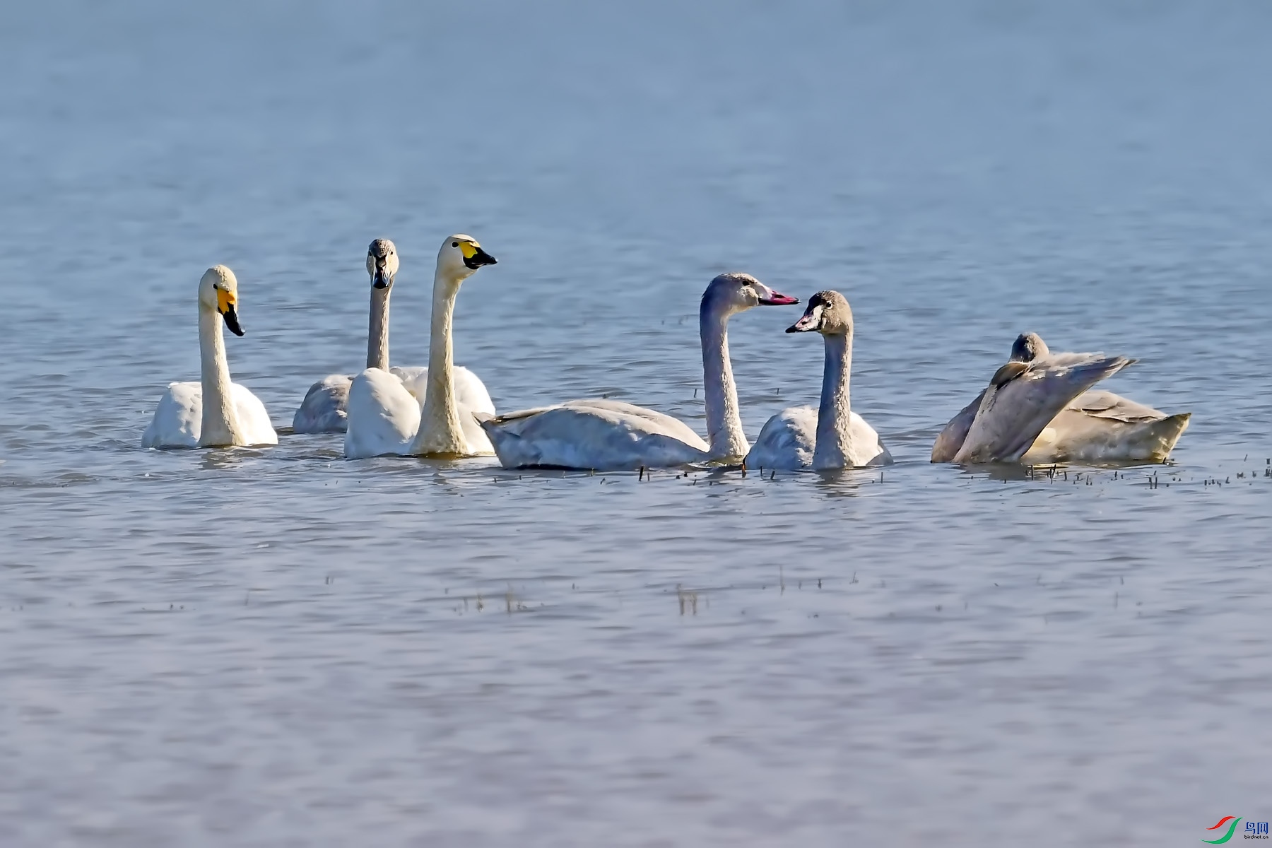 DSC_0516.jpg