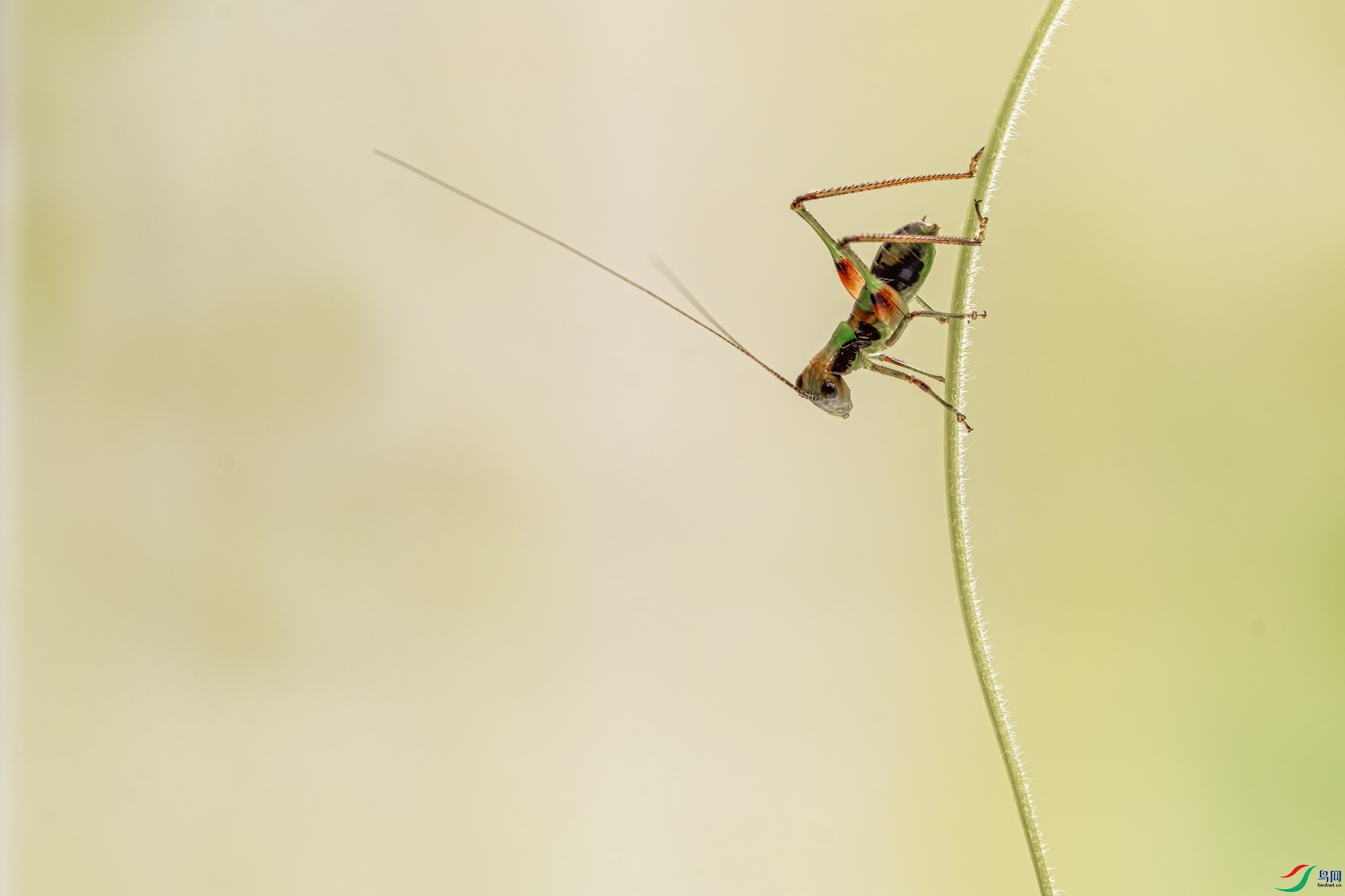 DSC_7195-1.jpg