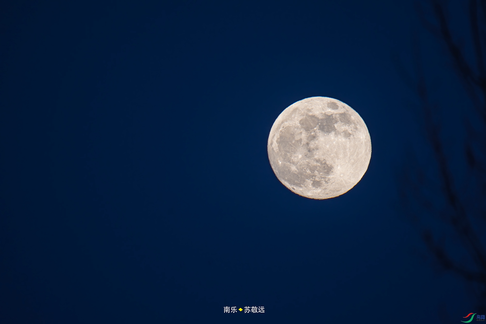 _DSC2366С.jpg