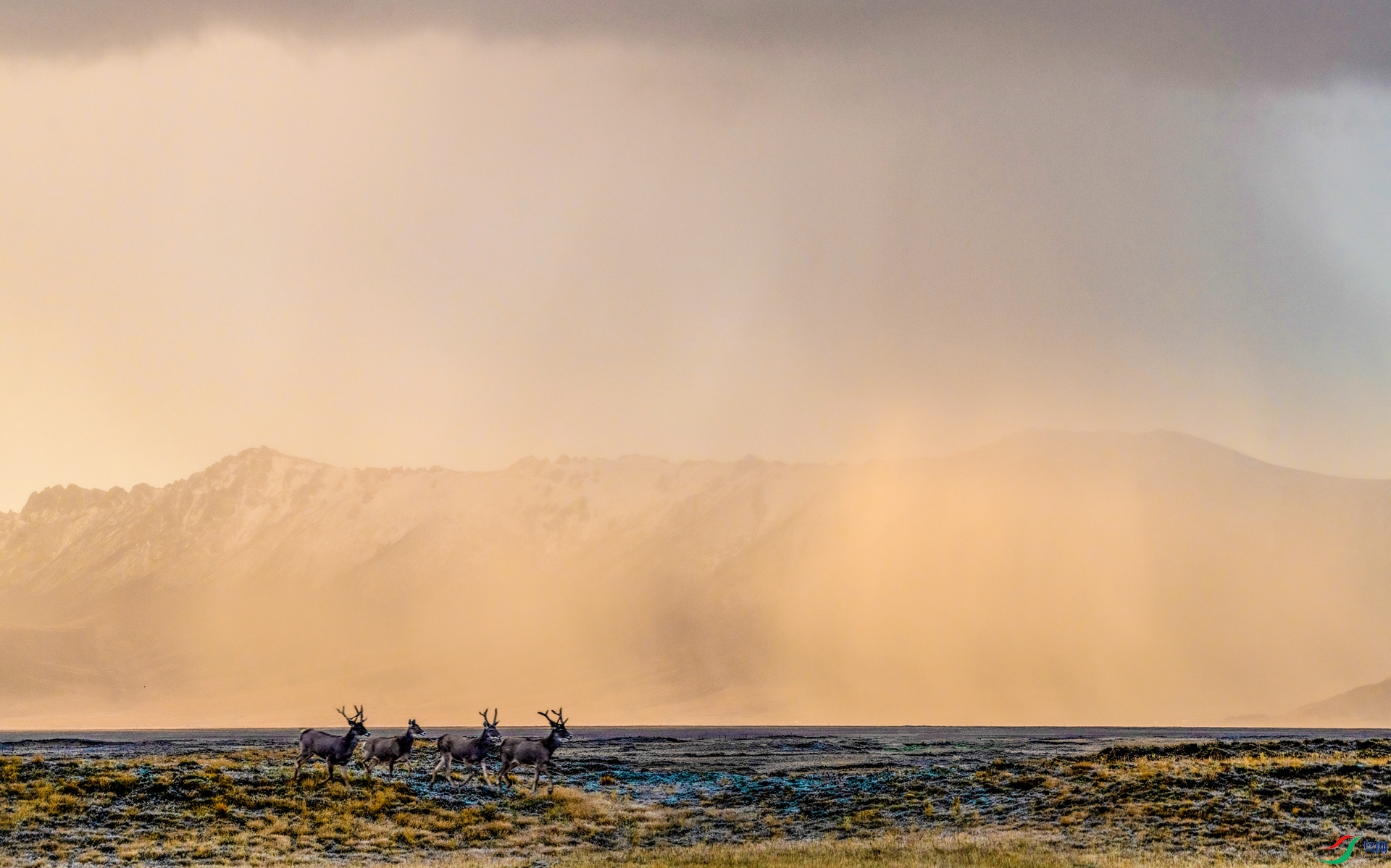 _DSC3738_����.jpg