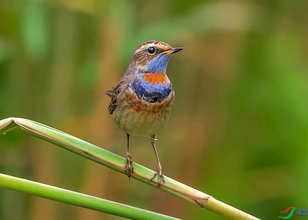 ��������  ��ʦ�����ڱ����г�����.jpg