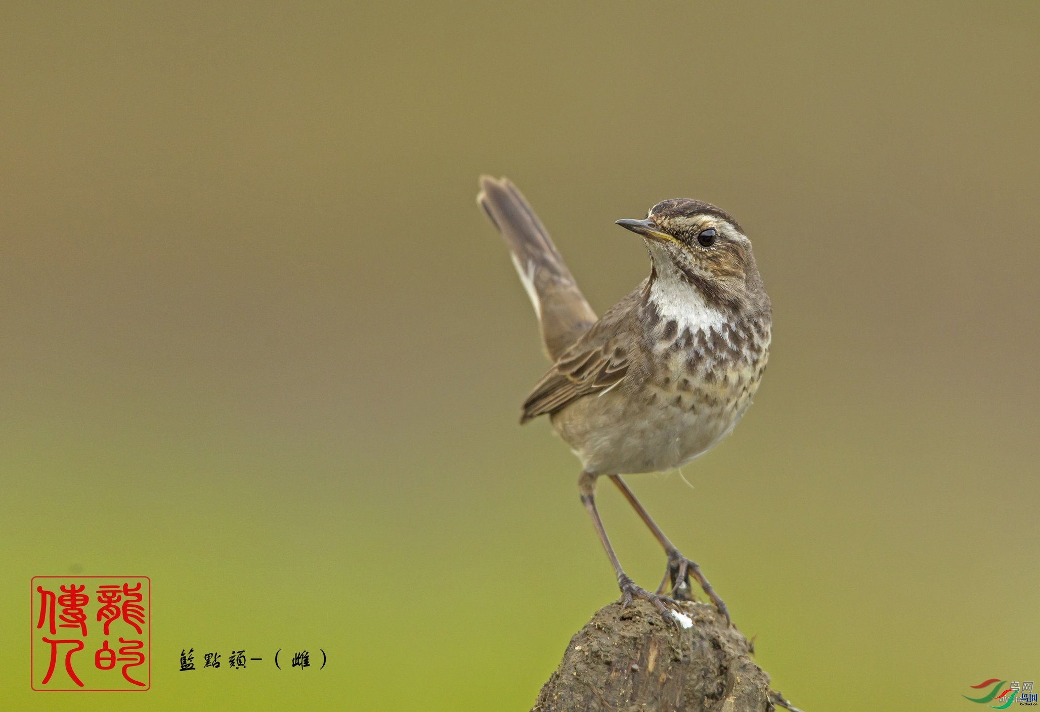 �����Ĵ���  ��ʦ�����ڸ���ʡ������.jpg