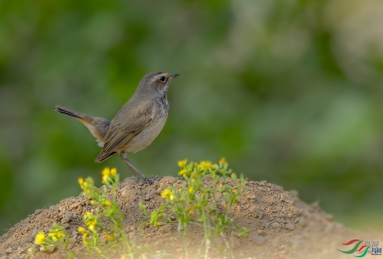 JZ����  ��ʦ����������ʡ������.jpg