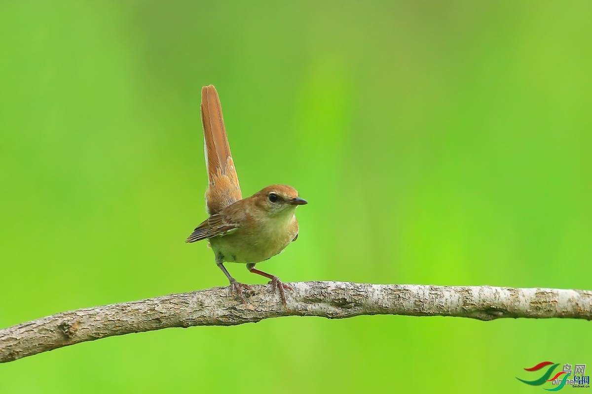 ���ã�һ��������  ��ʦ�������½�**������������̩��������̩��.jpg