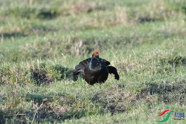 DSC_2389.jpg