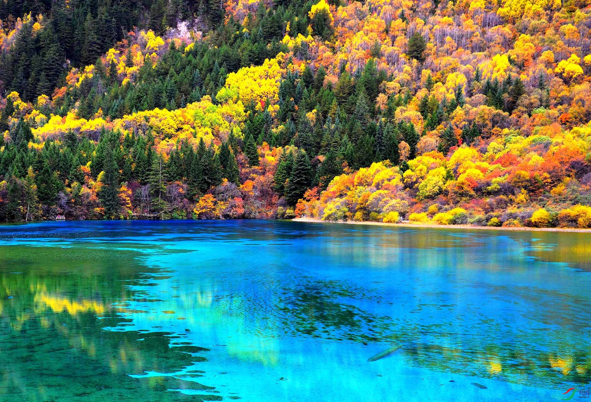 ��կ�� 242.jpg