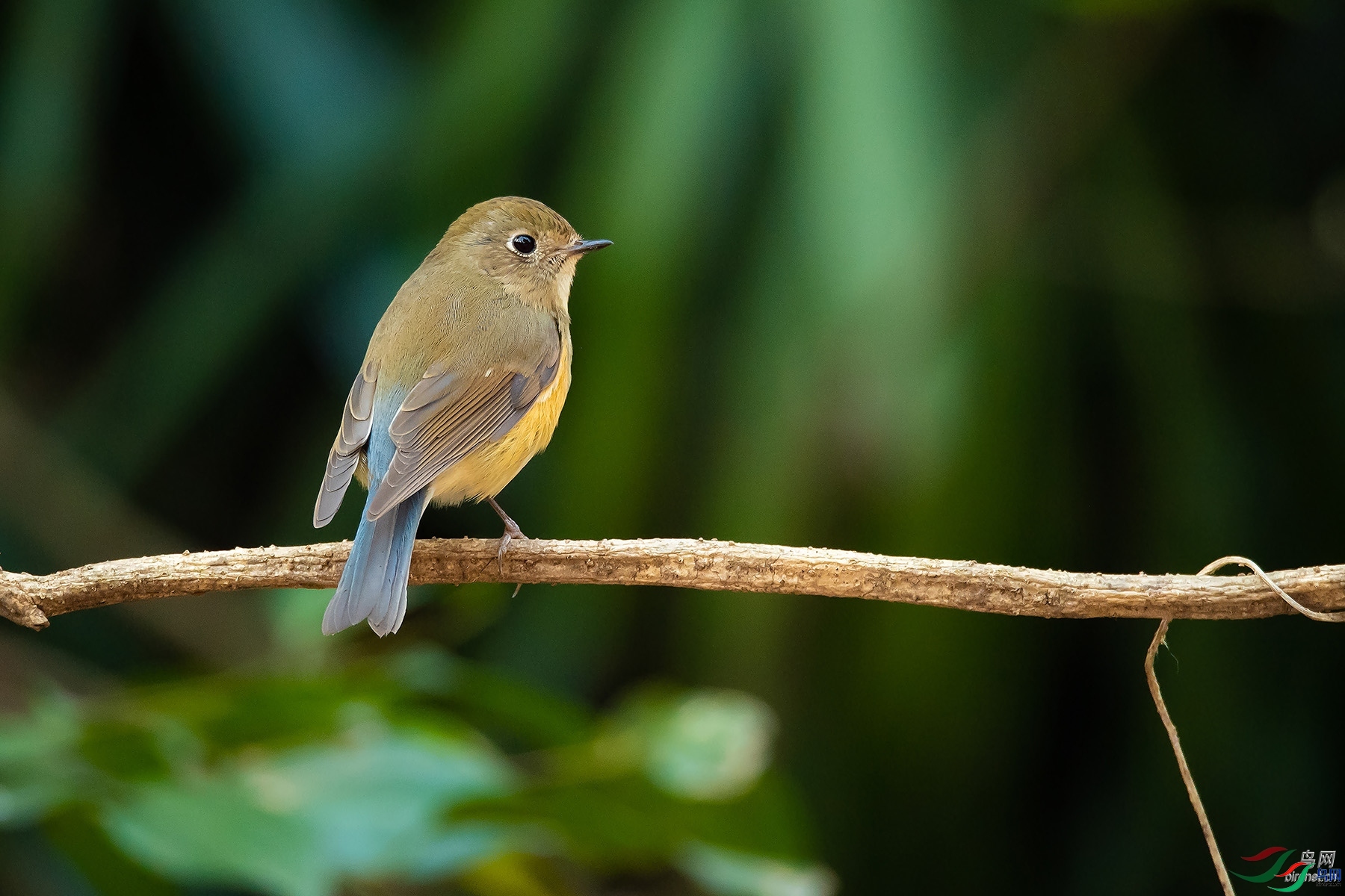 ��ֱ  ��ʦ�����ڹ㶫ʡ������.jpg