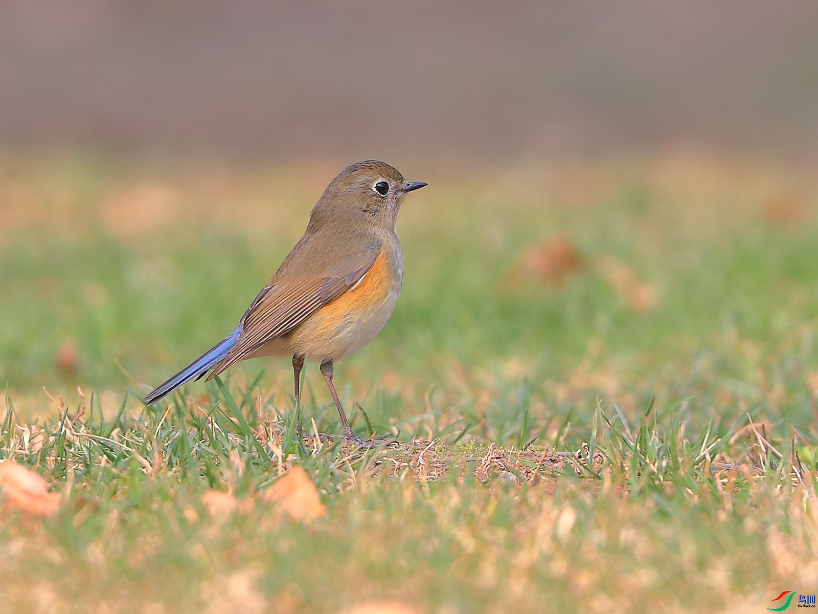 �ǲ� ��ʦ�����ںӱ�ʡʯ��ׯ��2.jpg